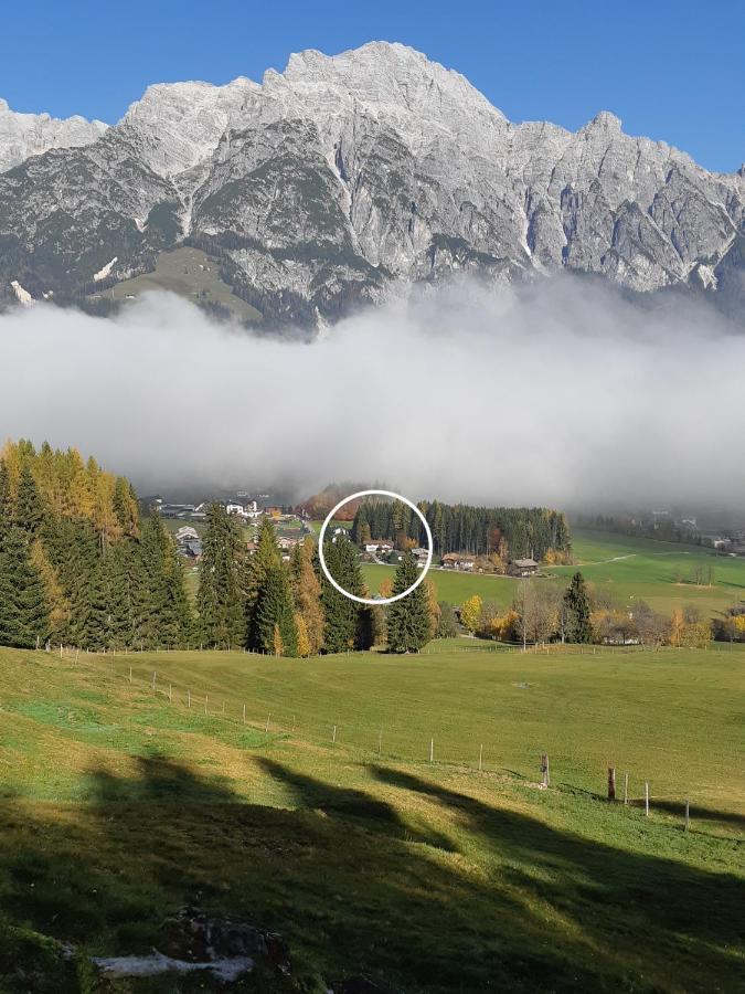 Appartement Haus Petra Leogang Eksteriør billede