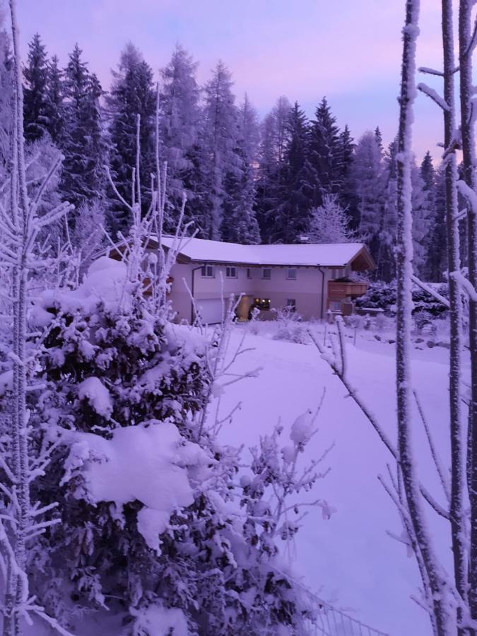 Appartement Haus Petra Leogang Eksteriør billede